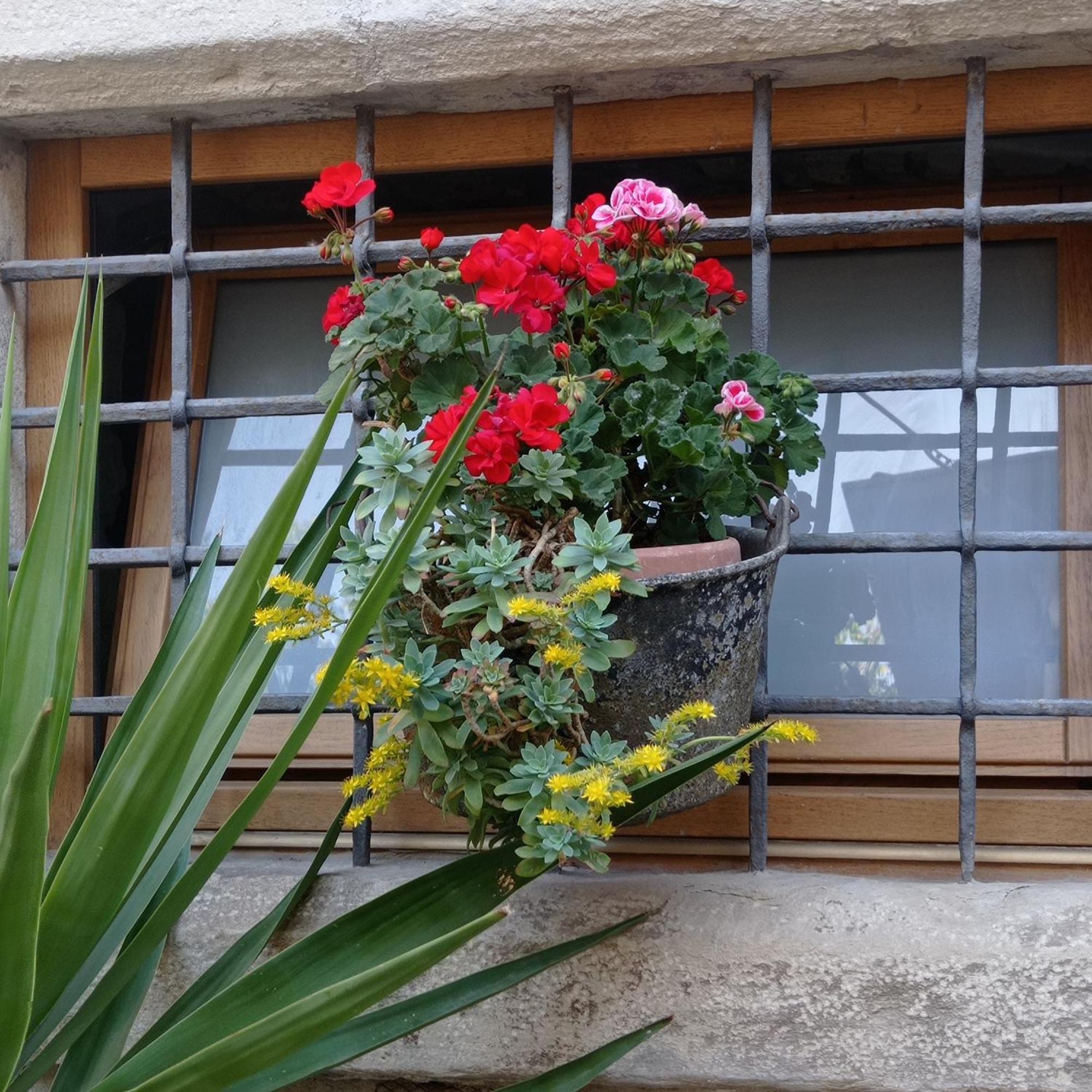 Casa Vacanza Gaia Costa di Mezzate Exterior foto